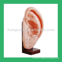 Chinese Human Anatomy Acupuncture Ear Model,Anatomical ear